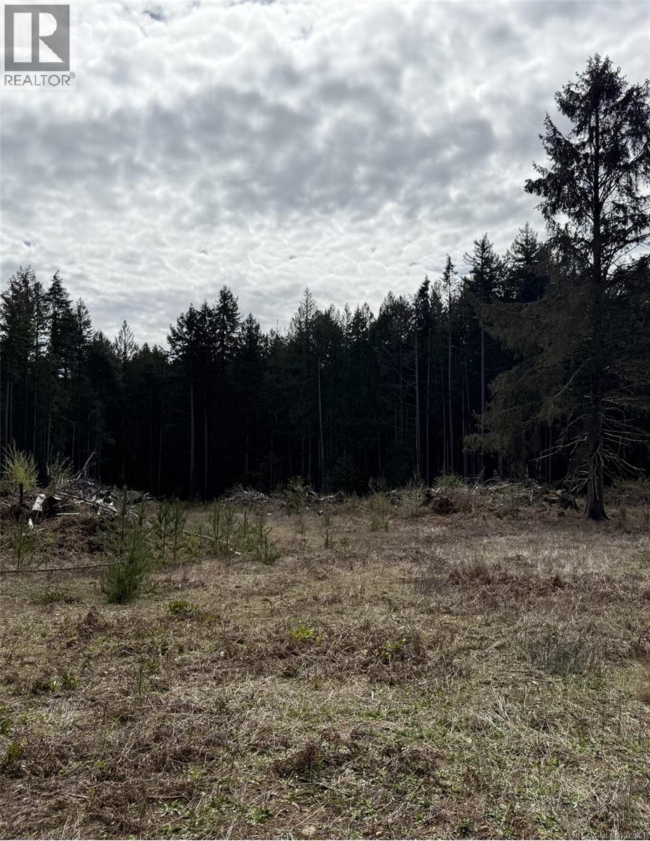 Lot B Anderson Ave, Bowser, British Columbia  V0R 1G0 - Photo 6 - 1032861