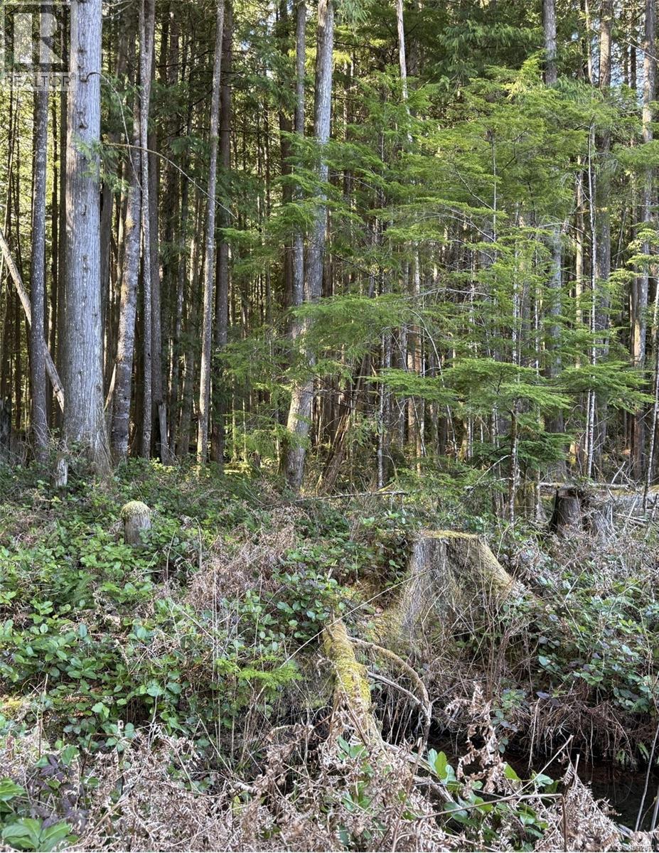 Lot A Anderson Ave, Bowser, British Columbia  V0R 1G0 - Photo 17 - 1032860