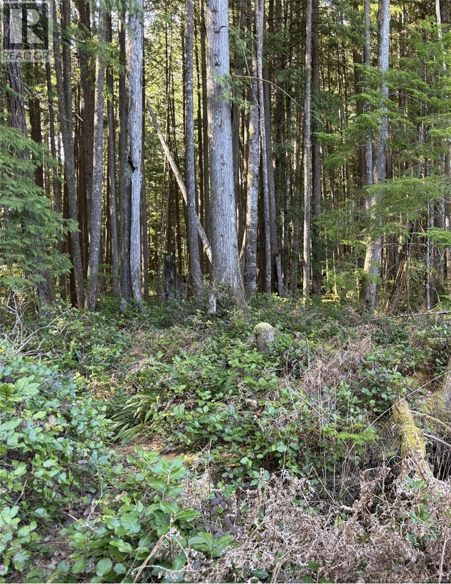 Lot A Anderson Ave, Bowser, British Columbia  V0R 1G0 - Photo 18 - 1032860