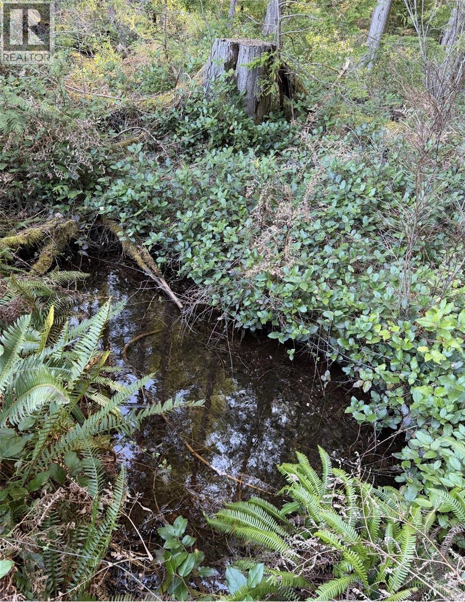 Lot A Anderson Ave, Bowser, British Columbia  V0R 1G0 - Photo 21 - 1032860