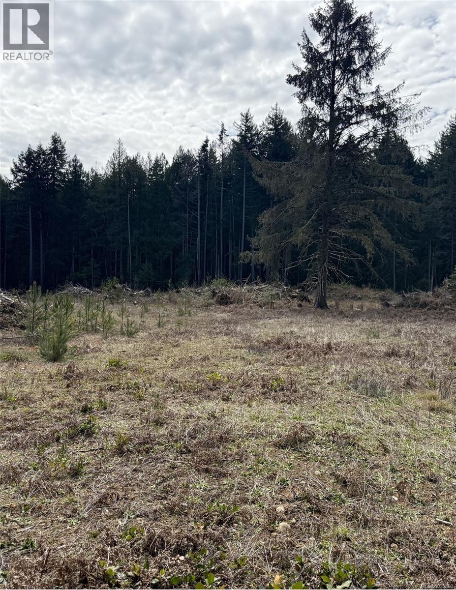 Lot A Anderson Ave, Bowser, British Columbia  V0R 1G0 - Photo 7 - 1032860
