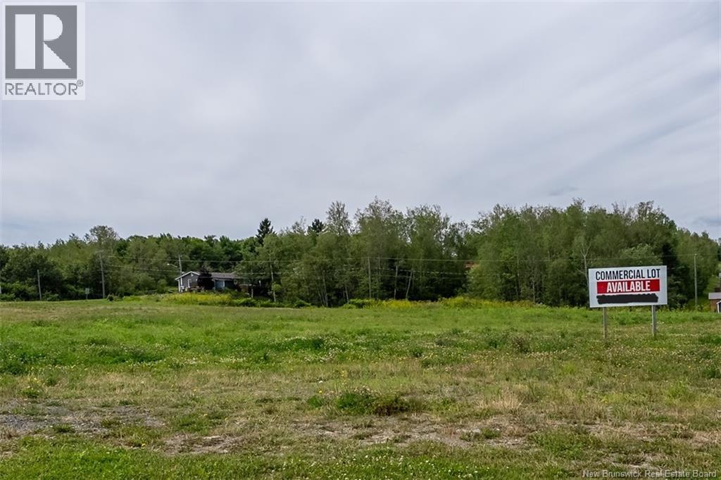 Lot Ouellette Street, Grand Falls, New Brunswick  E3Z 0C2 - Photo 2 - NB138444