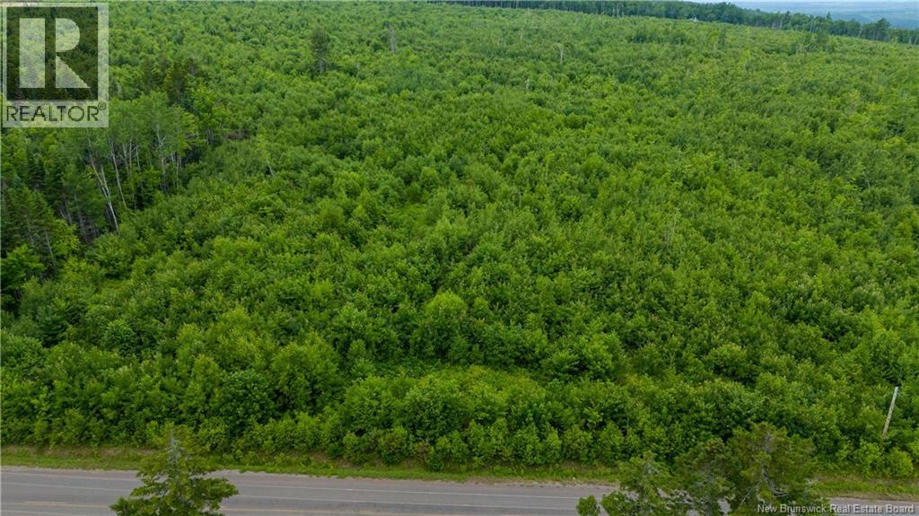 24-4 Route 895, Anagance, New Brunswick  E4Z 1E1 - Photo 9 - NB138392