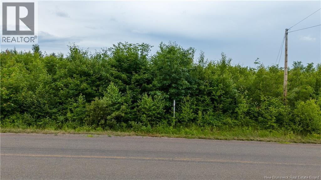 24-4 Route 895, Anagance, New Brunswick  E4Z 1E1 - Photo 17 - NB138392