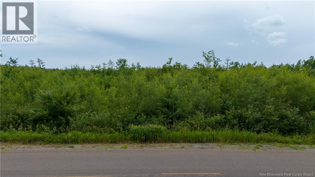 24-4 Route 895, Anagance, New Brunswick  E4Z 1E1 - Photo 16 - NB138392