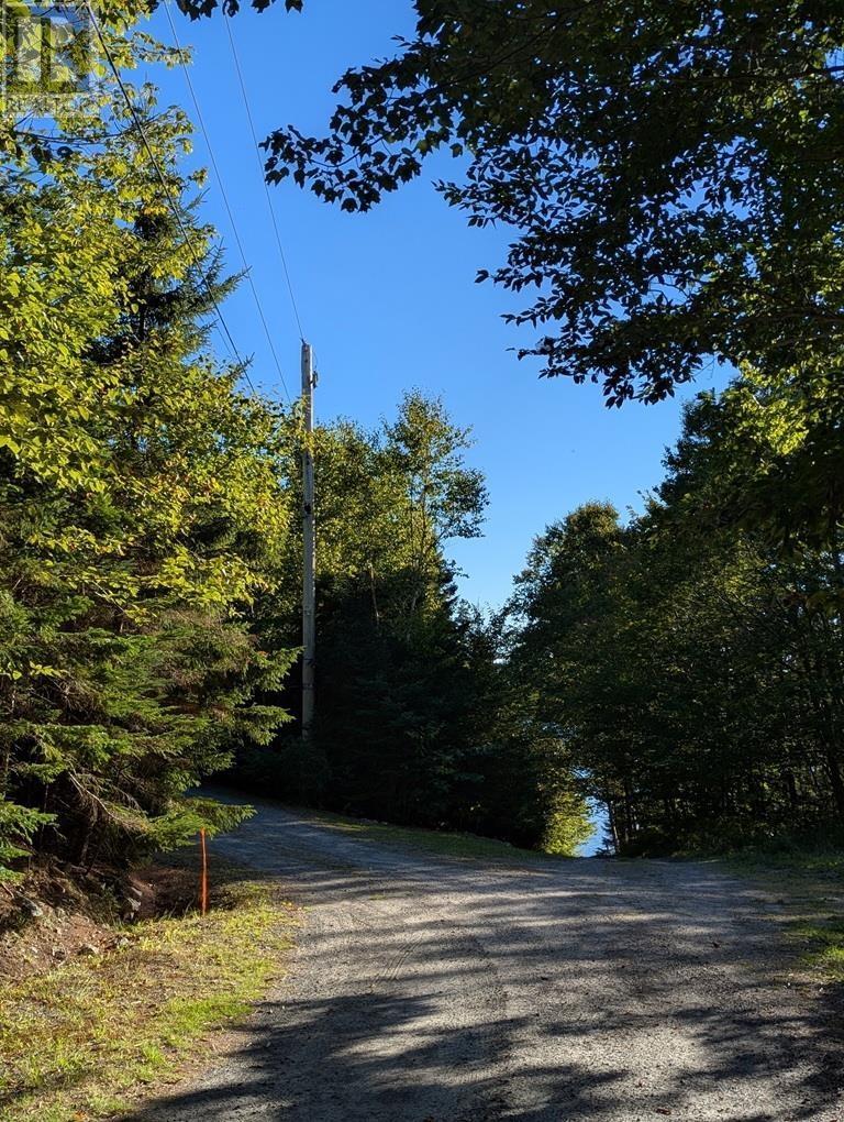 1a 170 Paces Lake Drive, Musquodoboit Harbour, Nova Scotia  B0J 2L0 - Photo 8 - 202527465