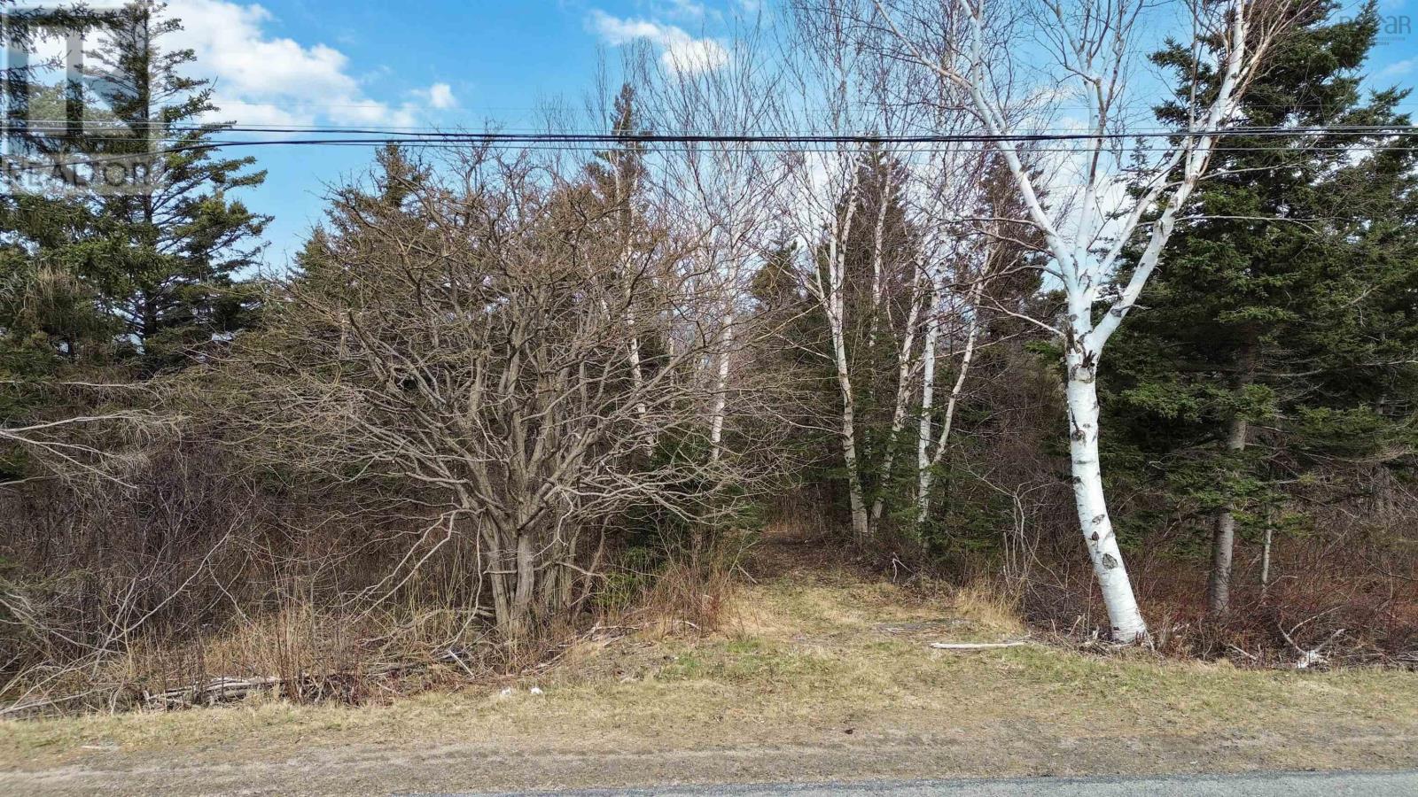 Shore Road W, Parkers Cove, Nova Scotia  B0S 1L0 - Photo 17 - 202609328