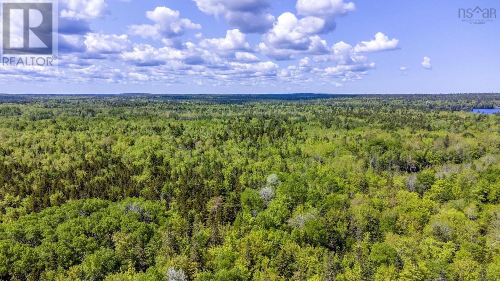 10 Highway, New Albany, Nova Scotia  B0S 1P0 - Photo 12 - 202609327