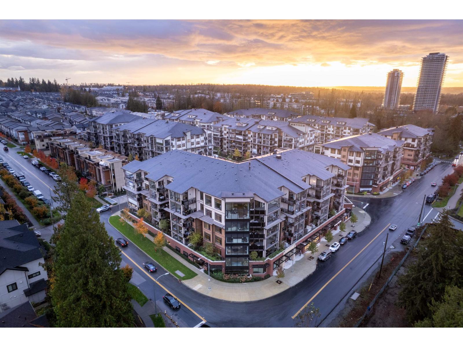 608 20376 86 Avenue, Langley, British Columbia  V2Y 3P8 - Photo 19 - R3050959