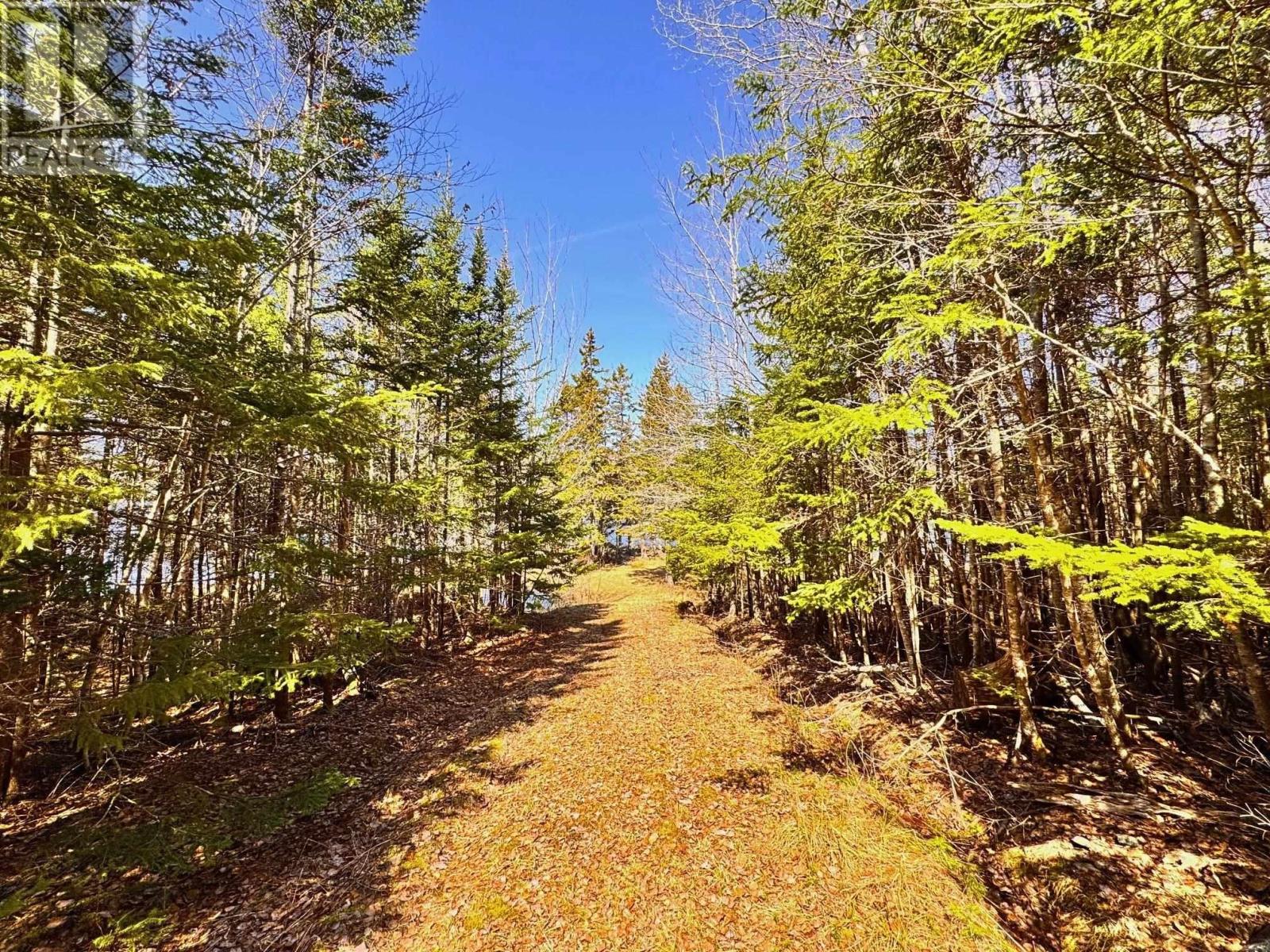 156 Widow Point Loop, West Bay Marshes, Nova Scotia  B0E 3K0 - Photo 16 - 202607725