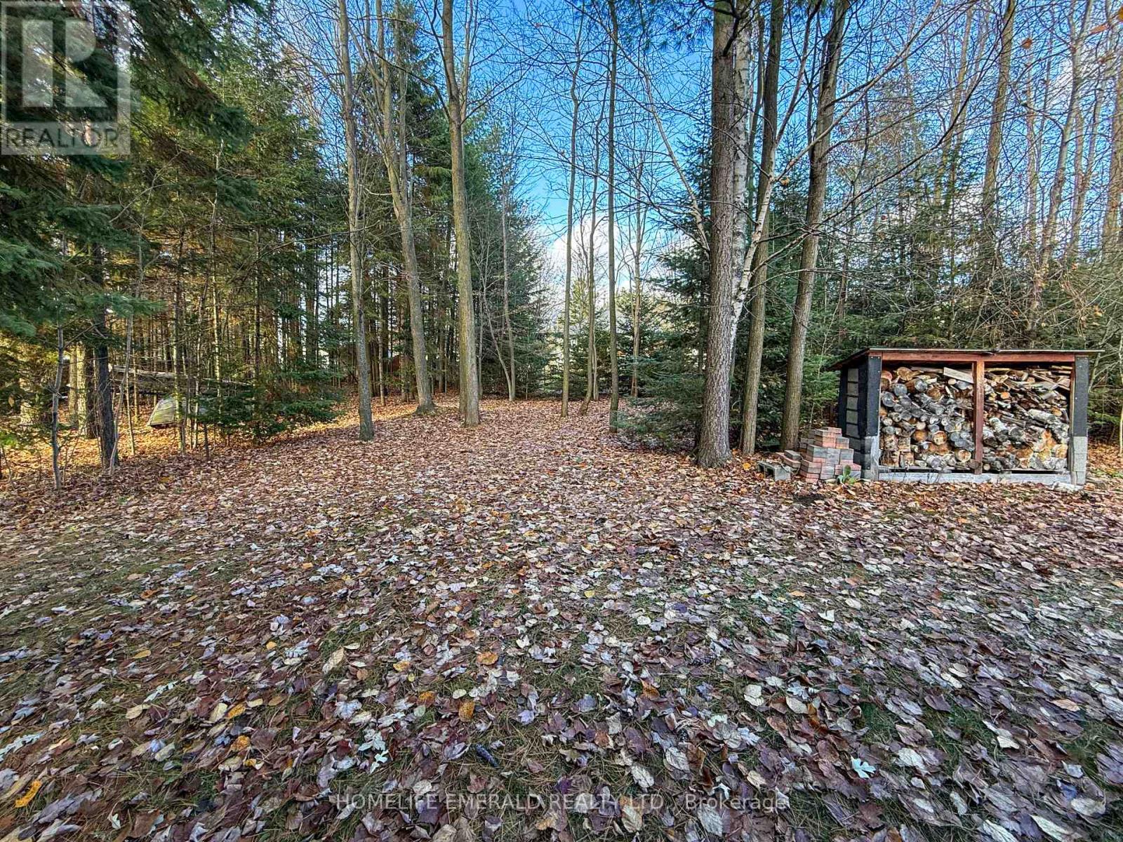 17 Tree Top Street, Essa, Ontario  L0M 1B2 - Photo 42 - N13069696