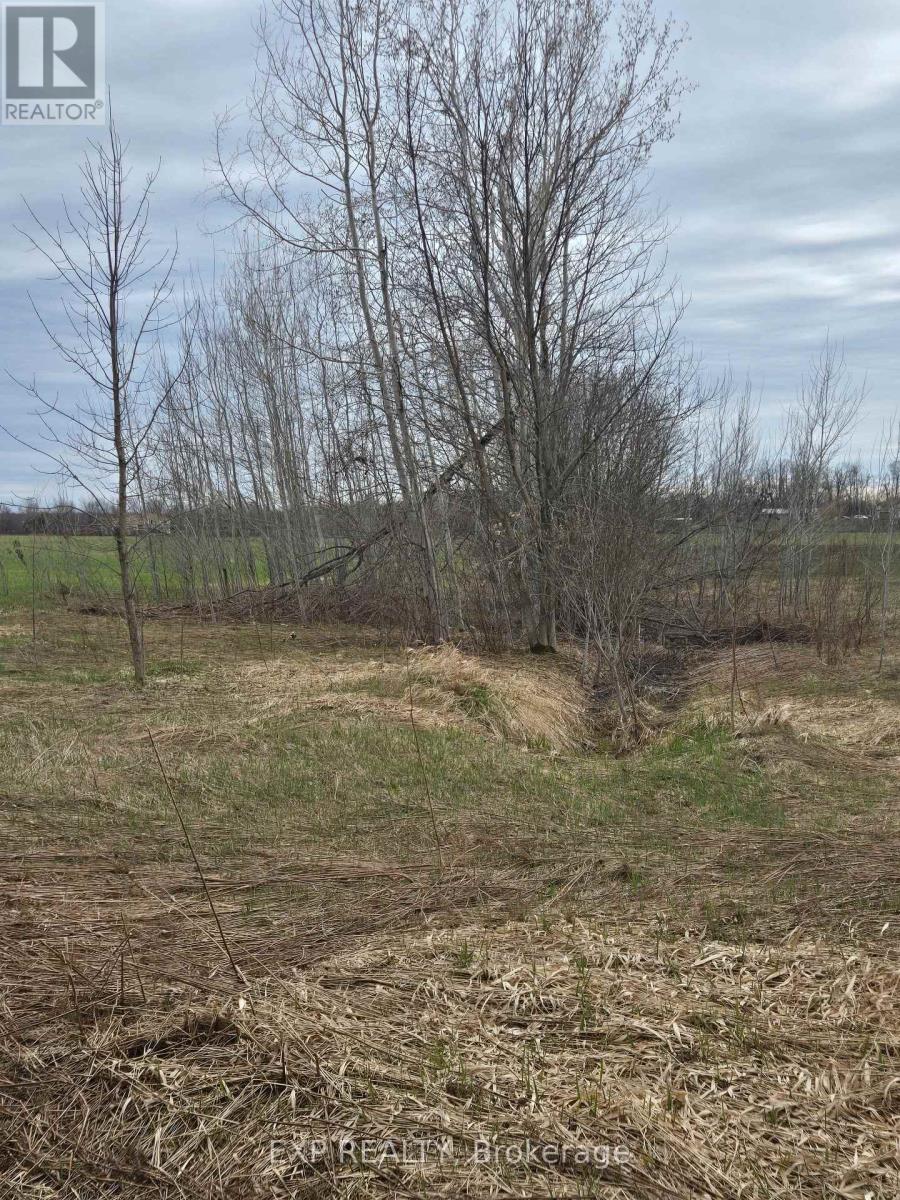 5496 Fairvalley Road, Ramara Road, Ramara, Ontario  L3V 0P6 - Photo 10 - S13069512