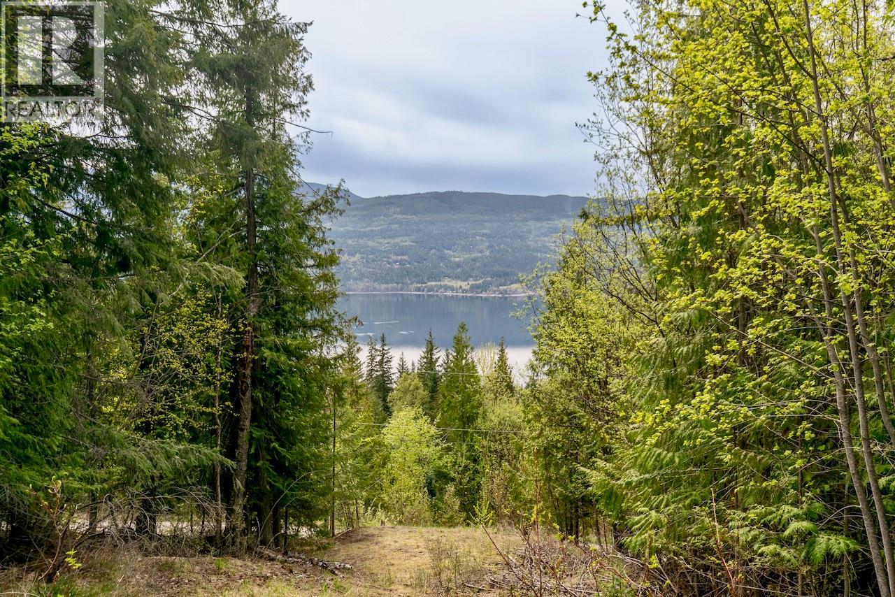 Crowfoot Drive Lot# 99, Anglemont, British Columbia  V0E 1M8 - Photo 5 - 10384260