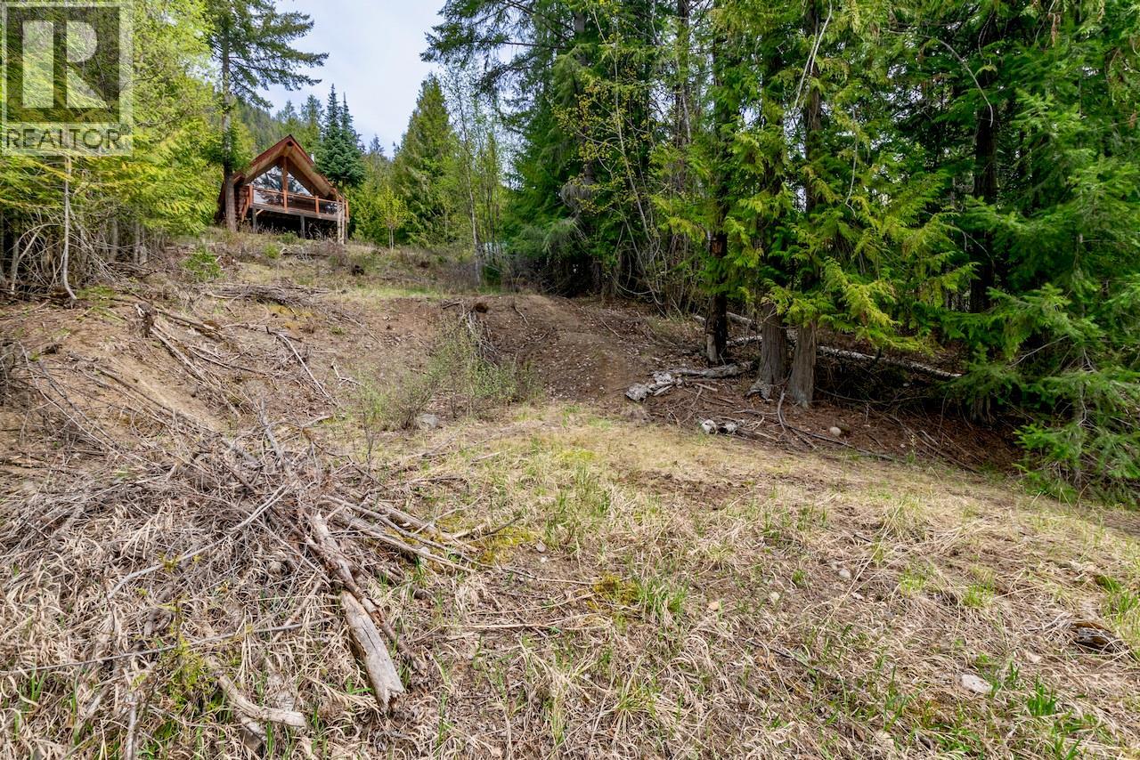Crowfoot Drive Lot# 99, Anglemont, British Columbia  V0E 1M8 - Photo 9 - 10384260