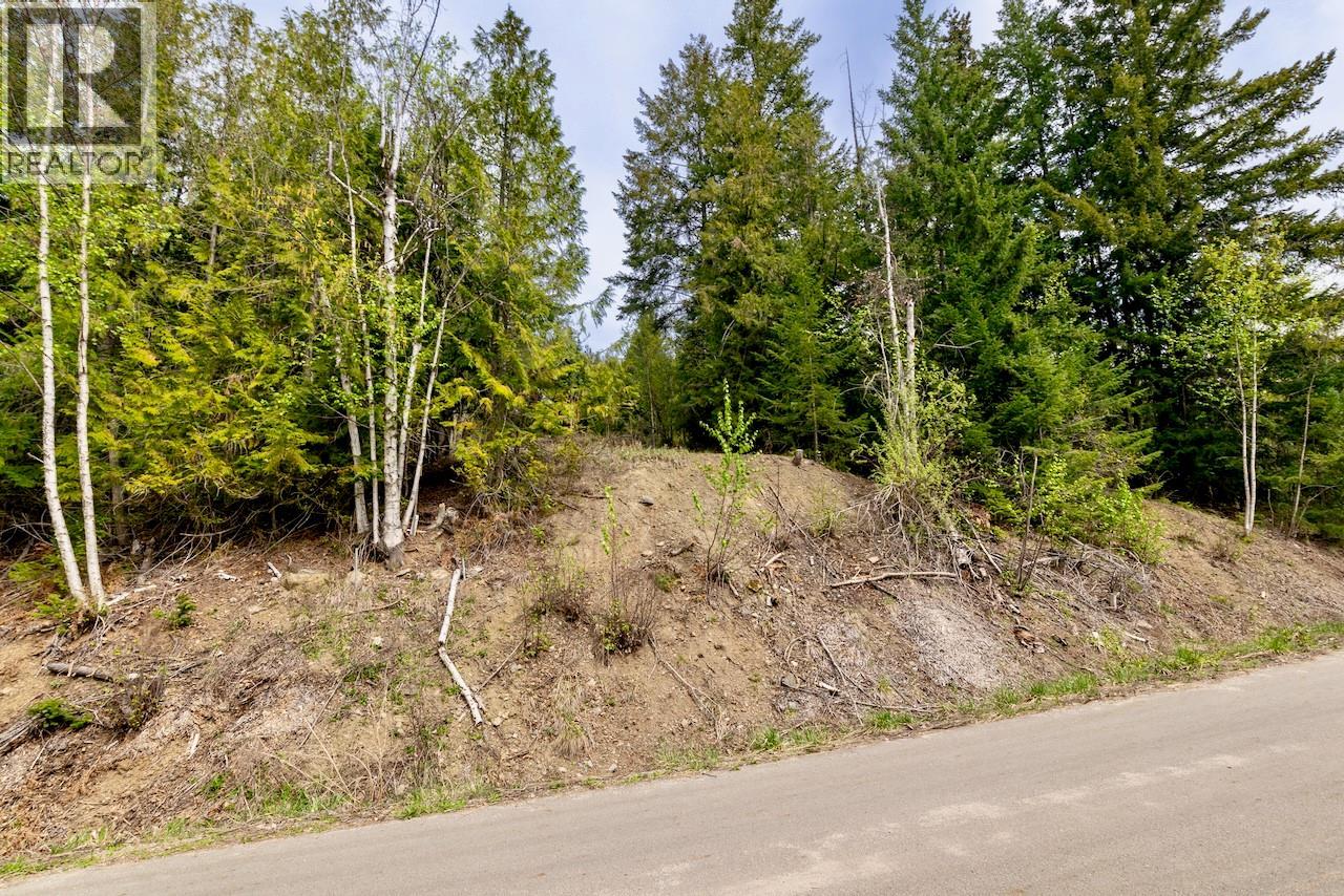 Crowfoot Drive Lot# 99, Anglemont, British Columbia  V0E 1M8 - Photo 7 - 10384260