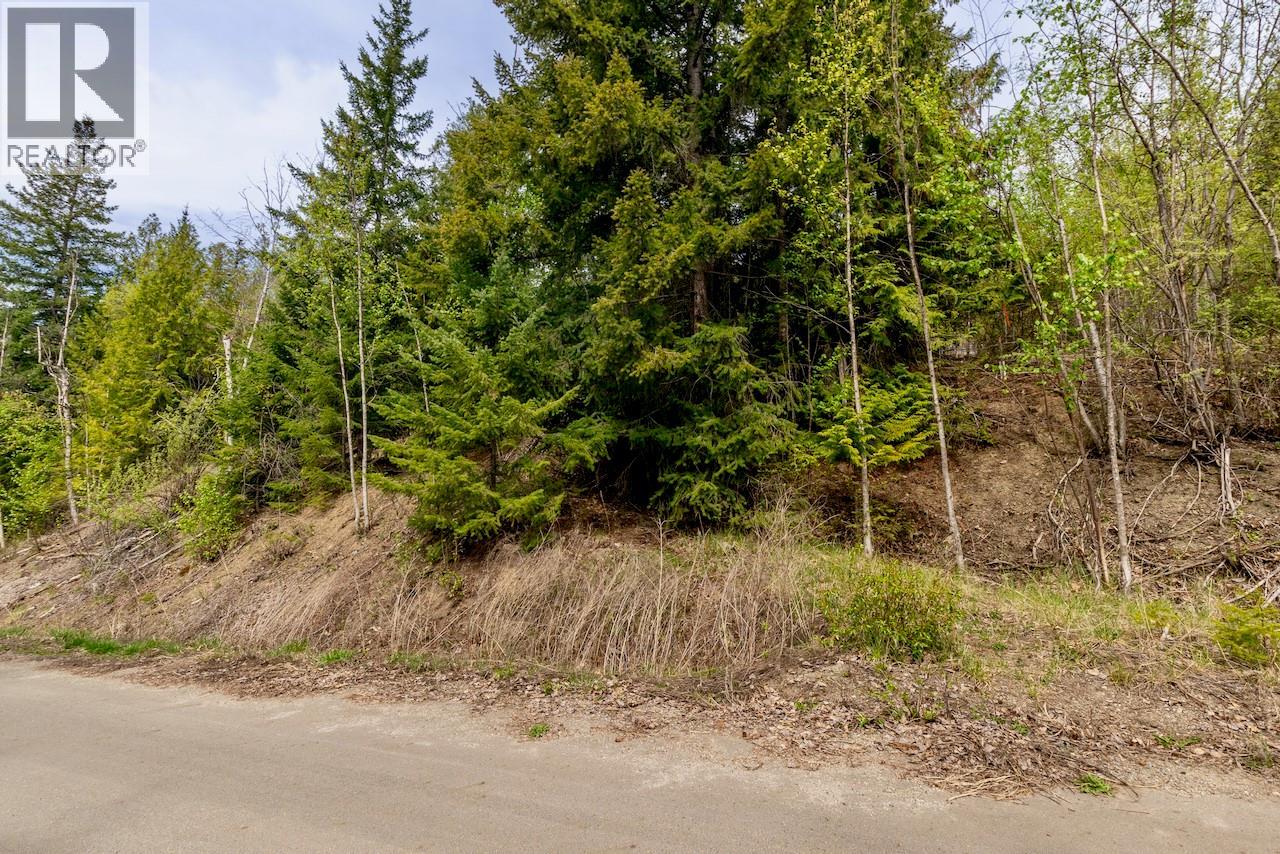 Crowfoot Drive Lot# 99, Anglemont, British Columbia  V0E 1M8 - Photo 8 - 10384260