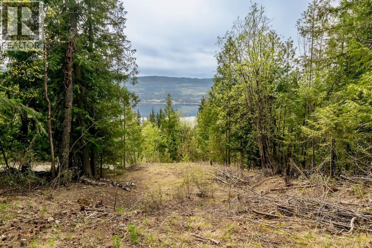 Crowfoot Drive Lot# 99, Anglemont, British Columbia  V0E 1M8 - Photo 4 - 10384260