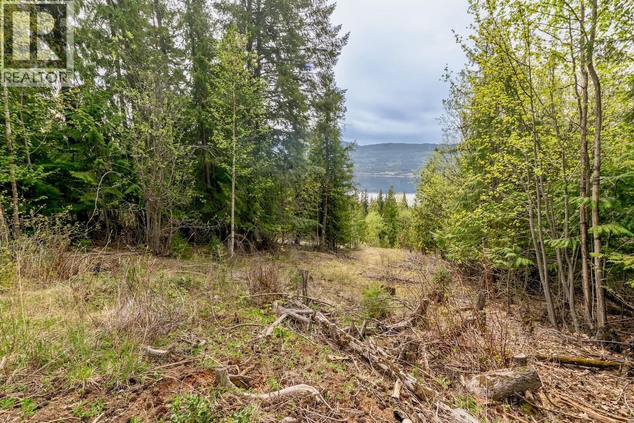 Crowfoot Drive Lot# 99, Anglemont, British Columbia  V0E 1M8 - Photo 6 - 10384260
