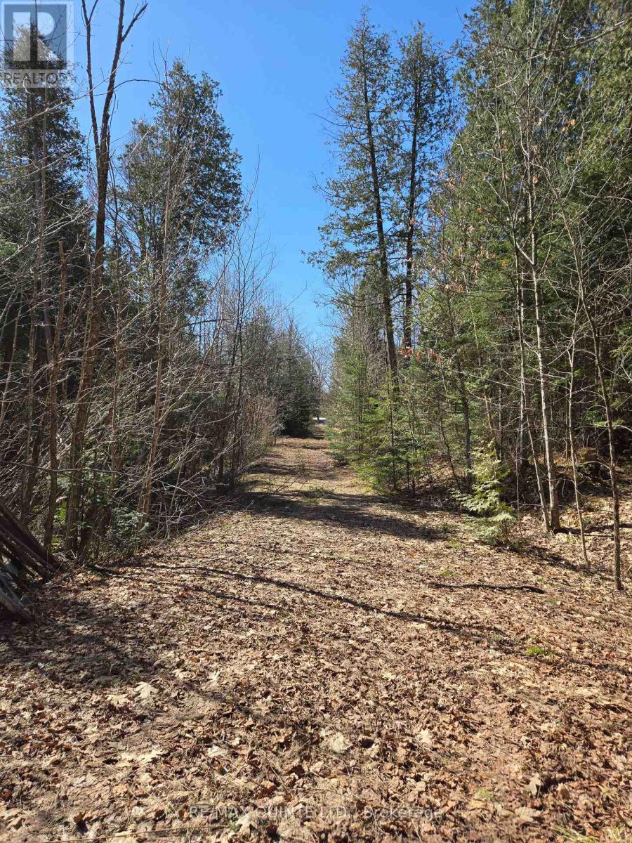 40 MARQUARDT ROAD, Addington Highlands, Ontario