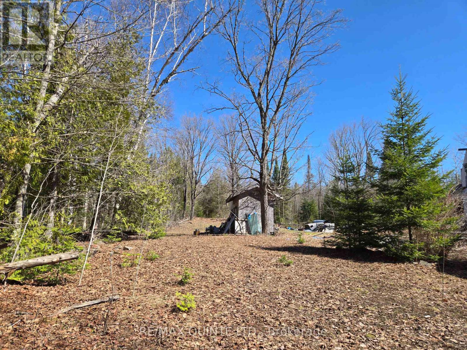 40 Marquardt Road, Addington Highlands, Ontario  K0H 1K0 - Photo 13 - X13070140