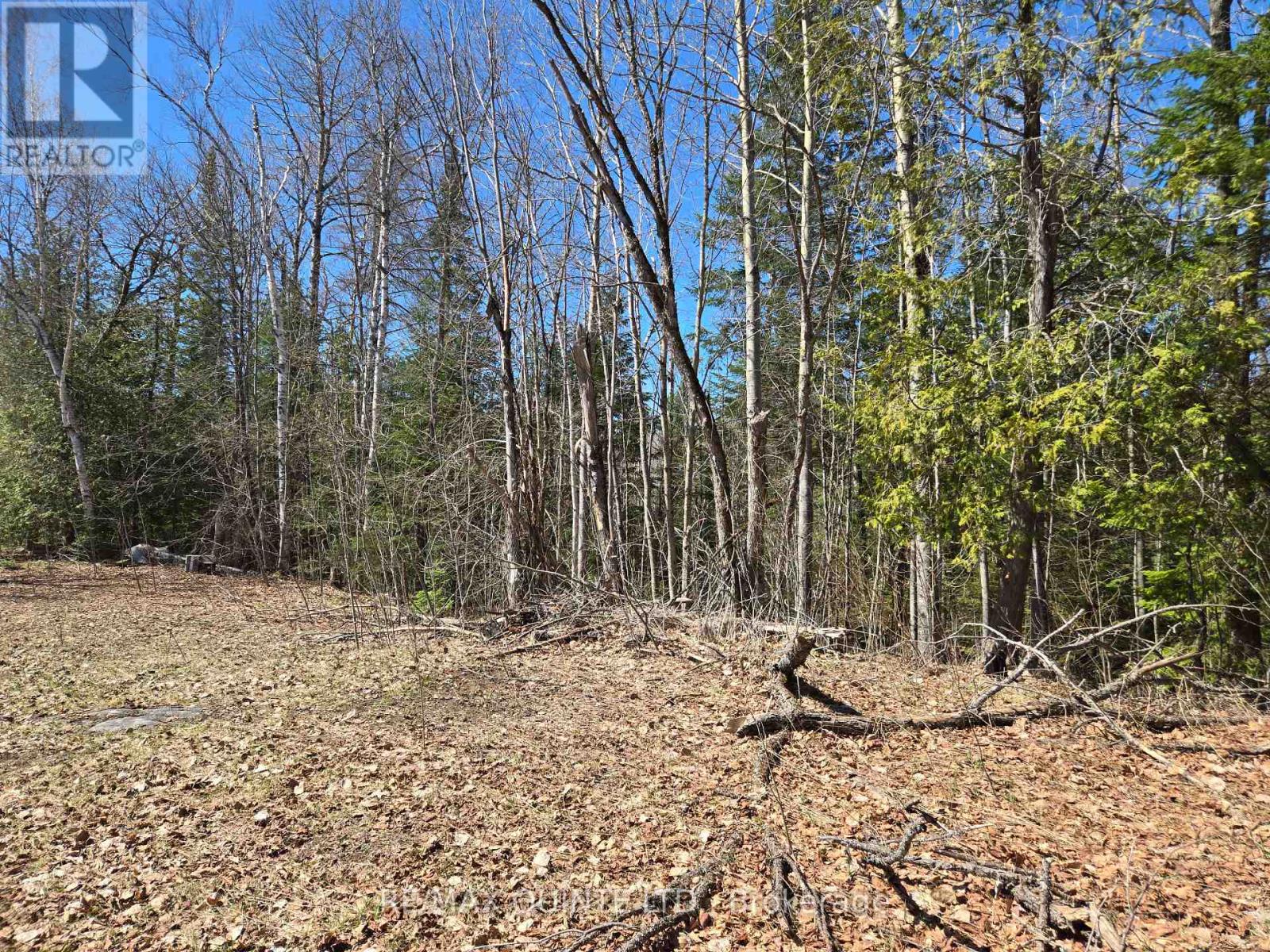 40 Marquardt Road, Addington Highlands, Ontario  K0H 1K0 - Photo 19 - X13070140
