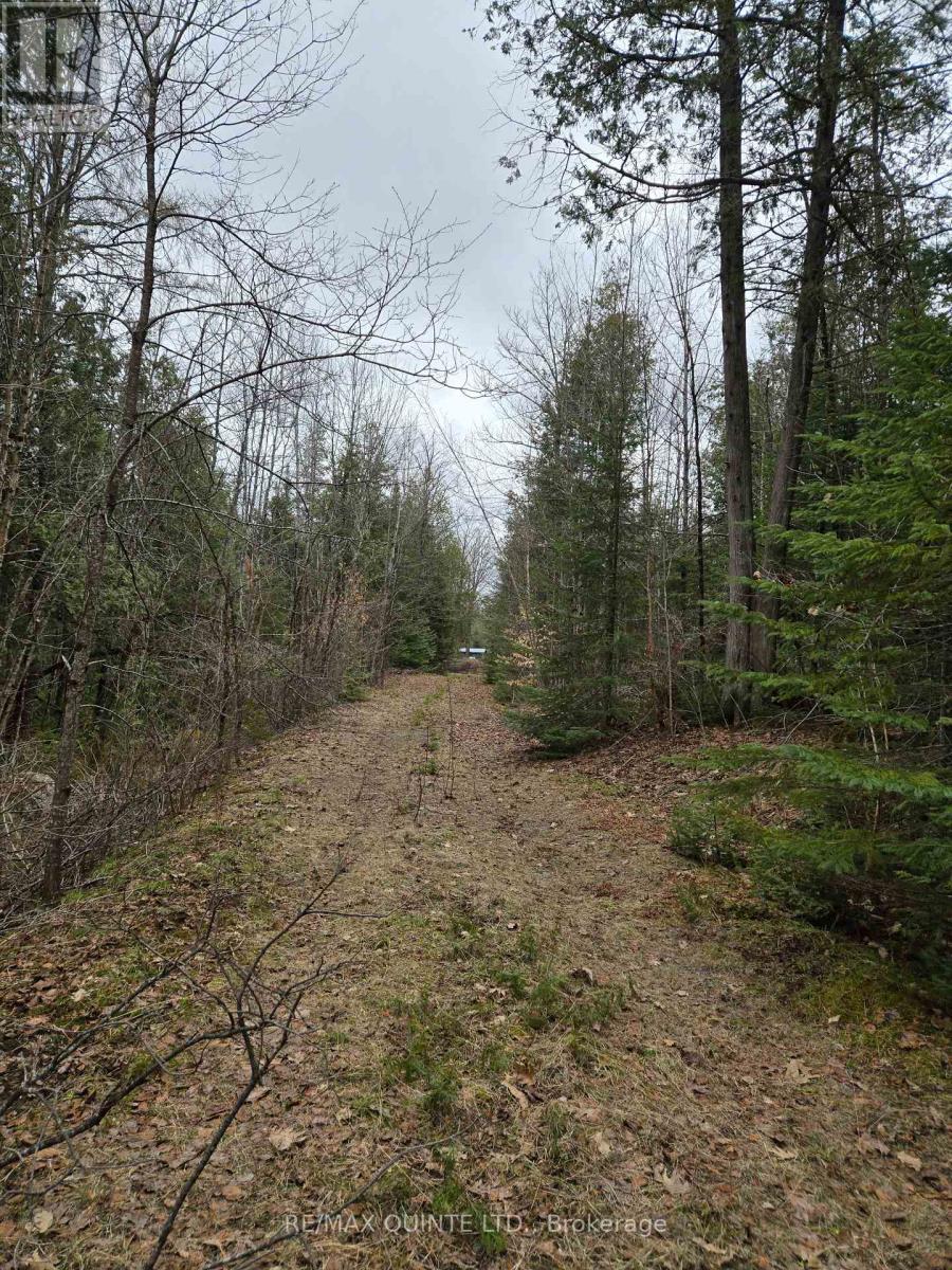 40 Marquardt Road, Addington Highlands, Ontario  K0H 1K0 - Photo 2 - X13070140