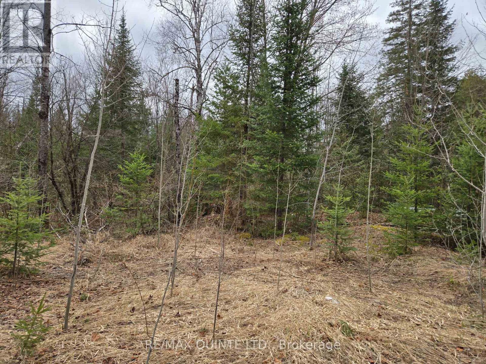 40 Marquardt Road, Addington Highlands, Ontario  K0H 1K0 - Photo 20 - X13070140