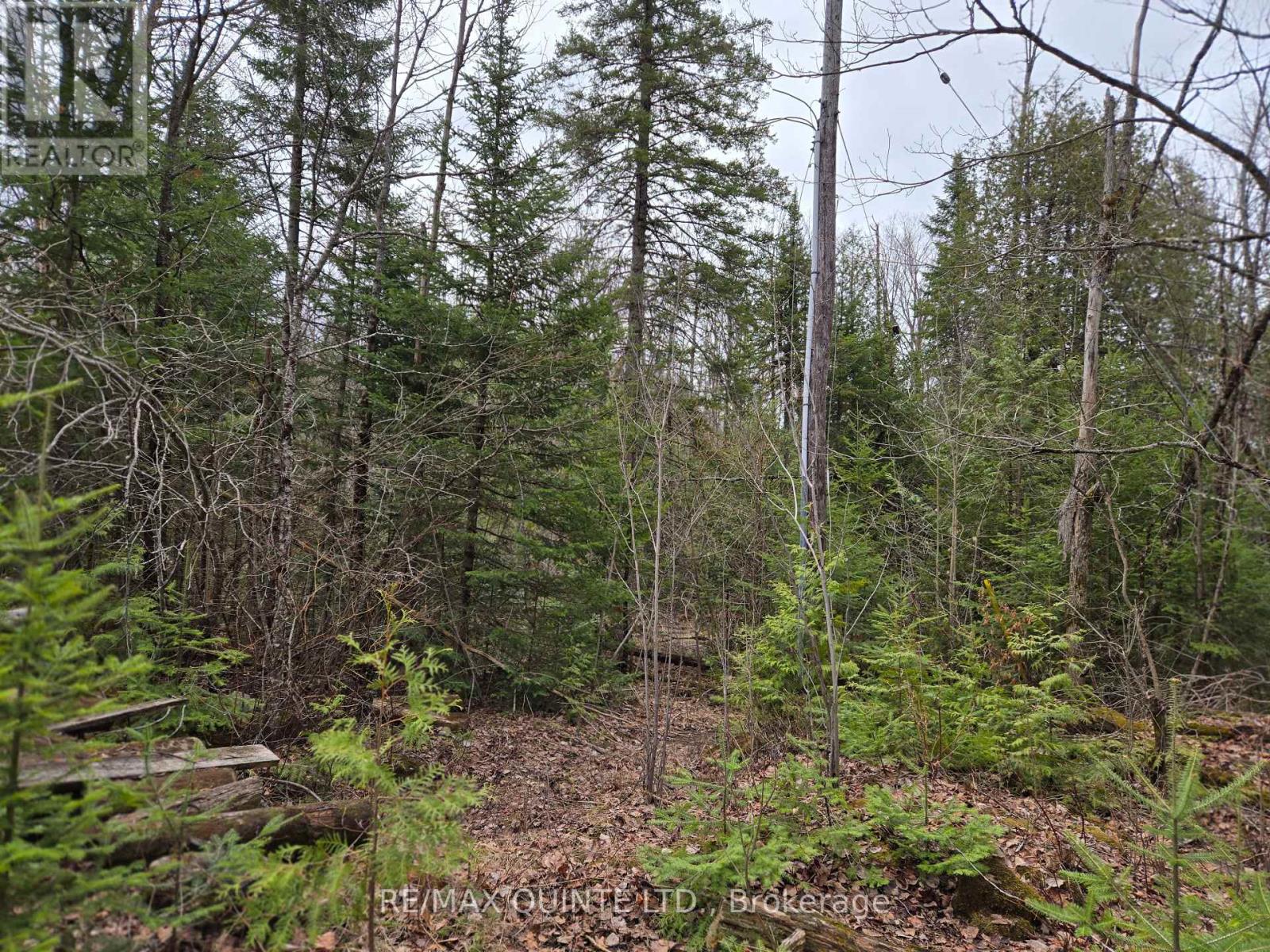 40 Marquardt Road, Addington Highlands, Ontario  K0H 1K0 - Photo 21 - X13070140