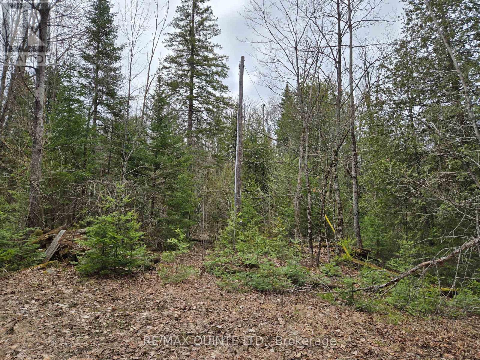 40 Marquardt Road, Addington Highlands, Ontario  K0H 1K0 - Photo 22 - X13070140
