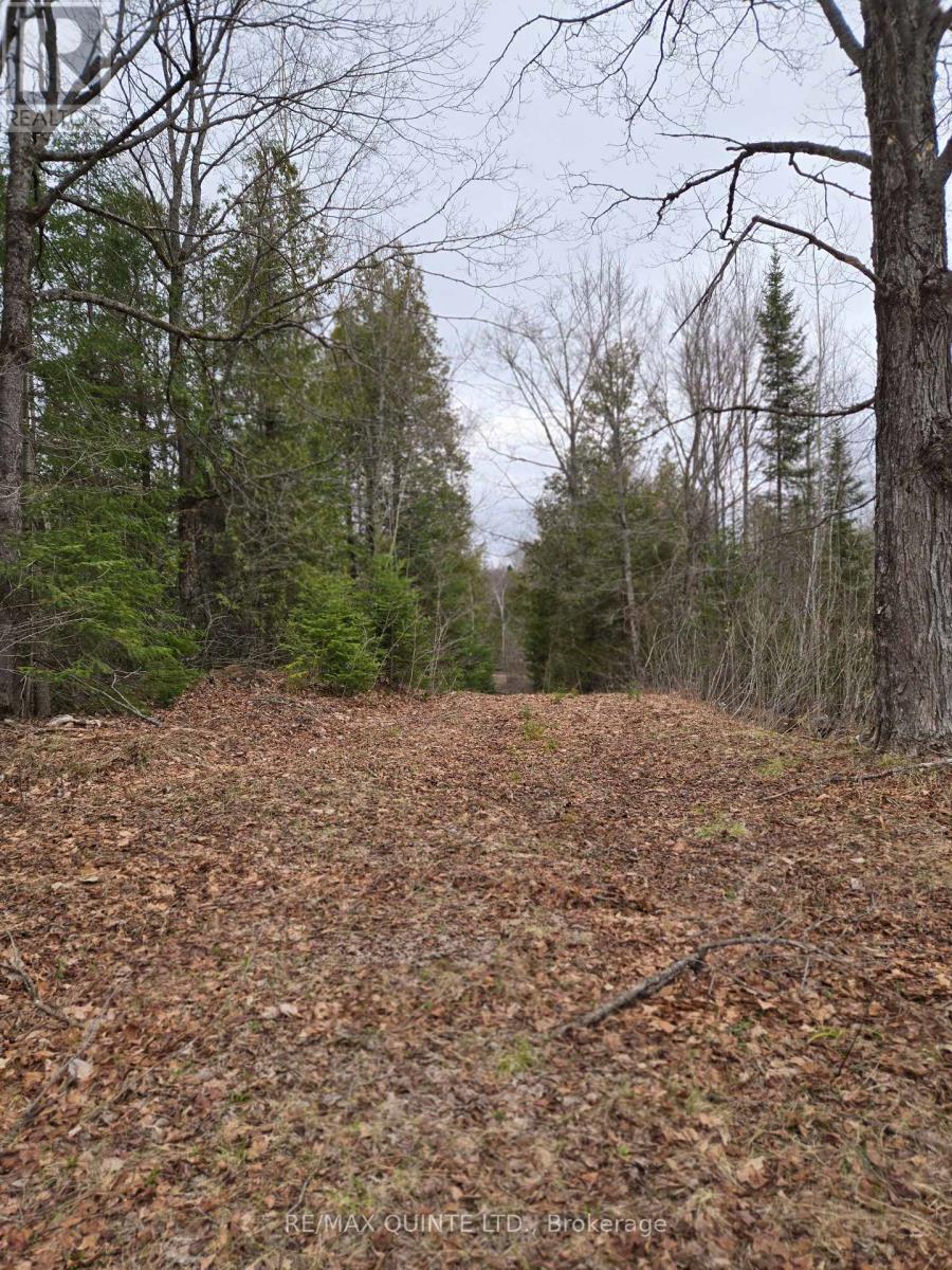 40 Marquardt Road, Addington Highlands, Ontario  K0H 1K0 - Photo 23 - X13070140