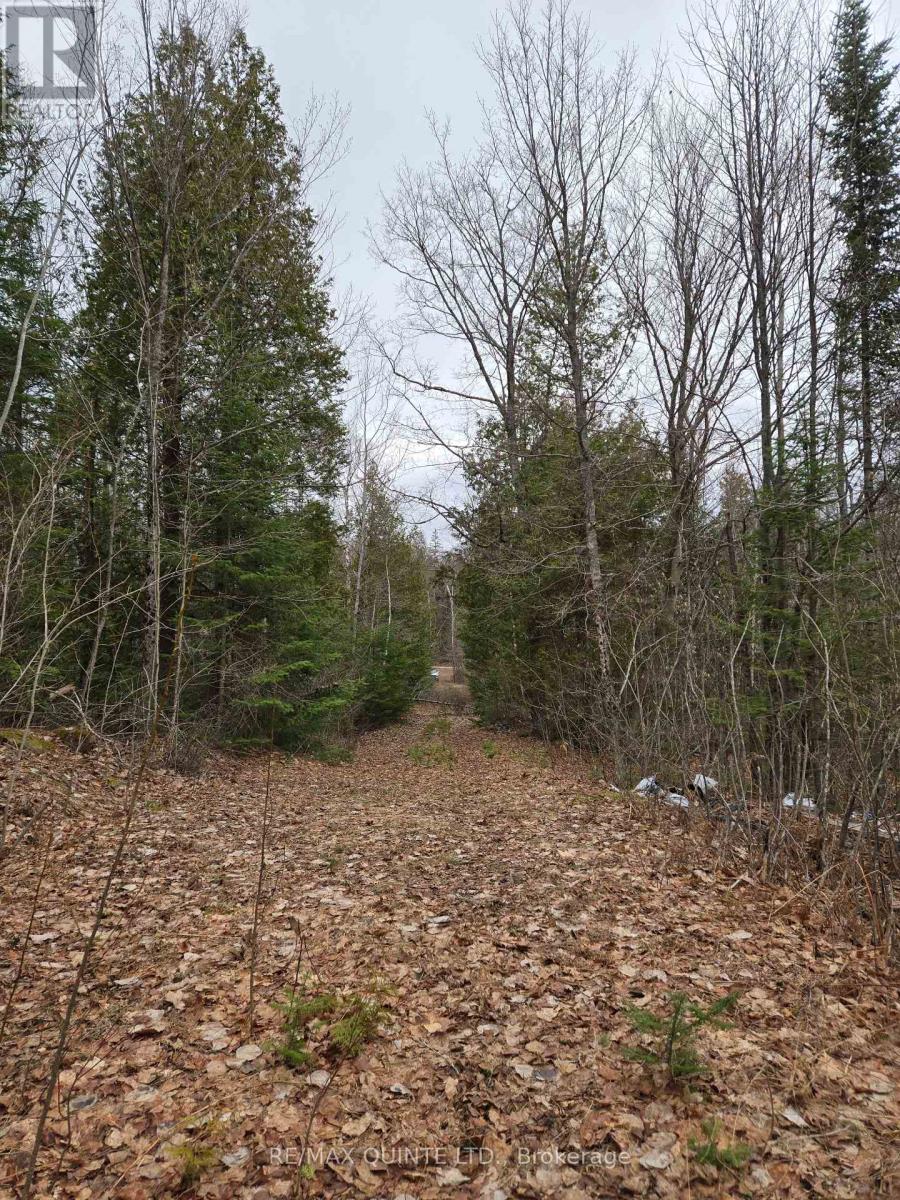 40 Marquardt Road, Addington Highlands, Ontario  K0H 1K0 - Photo 24 - X13070140