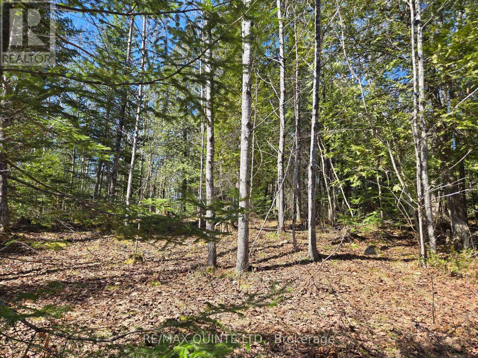40 Marquardt Road, Addington Highlands, Ontario  K0H 1K0 - Photo 3 - X13070140