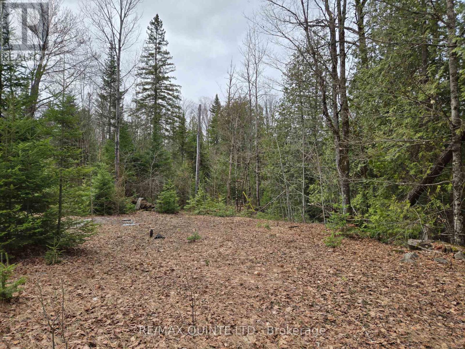 40 Marquardt Road, Addington Highlands, Ontario  K0H 1K0 - Photo 5 - X13070140