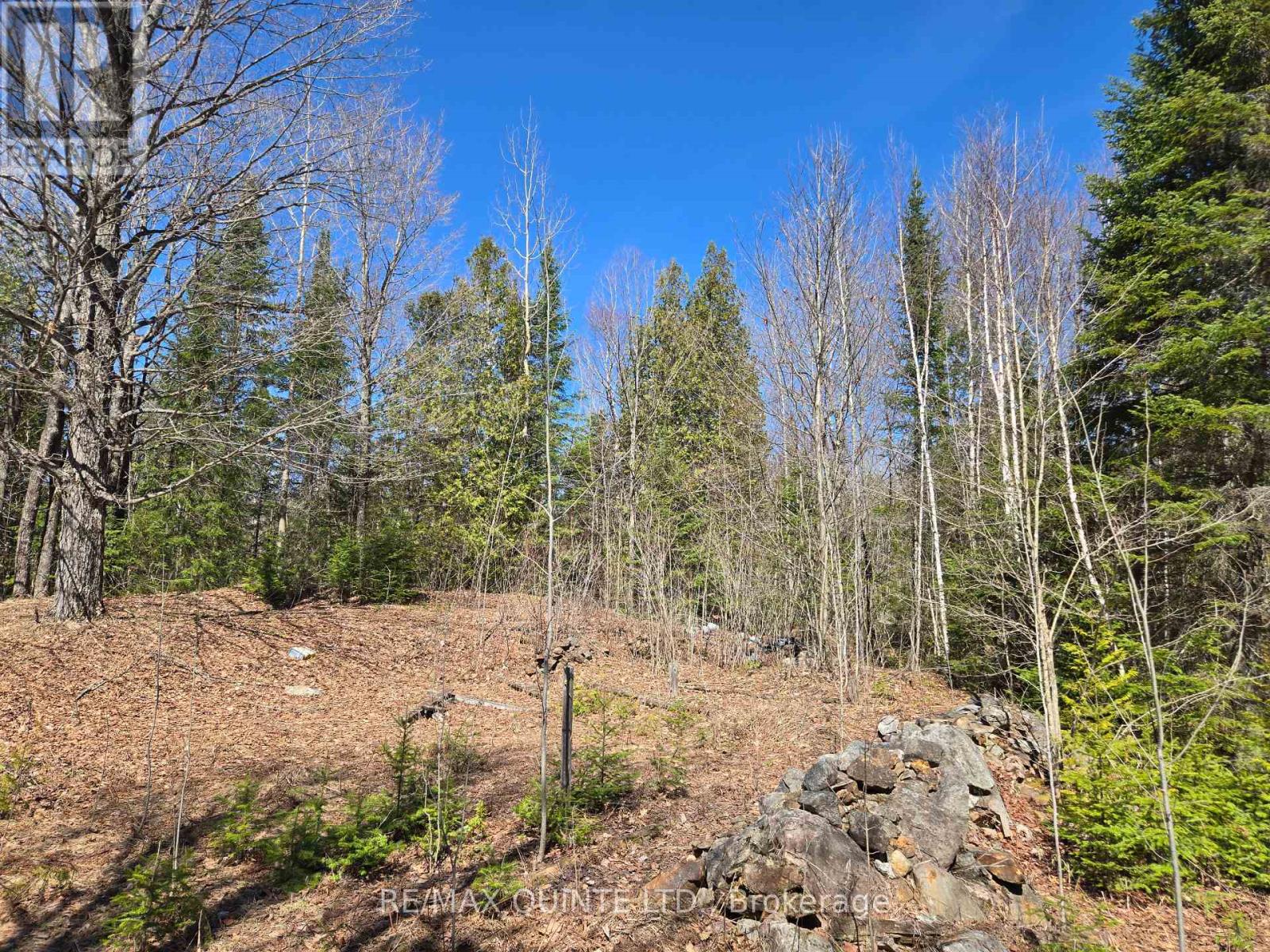 40 Marquardt Road, Addington Highlands, Ontario  K0H 1K0 - Photo 6 - X13070140