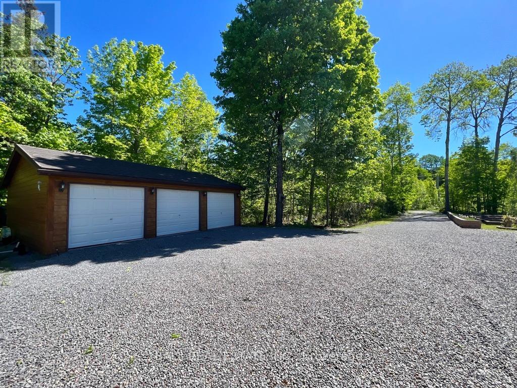 154 Julian Lake Road, North Kawartha, Ontario  K0L 3E0 - Photo 11 - X13070144