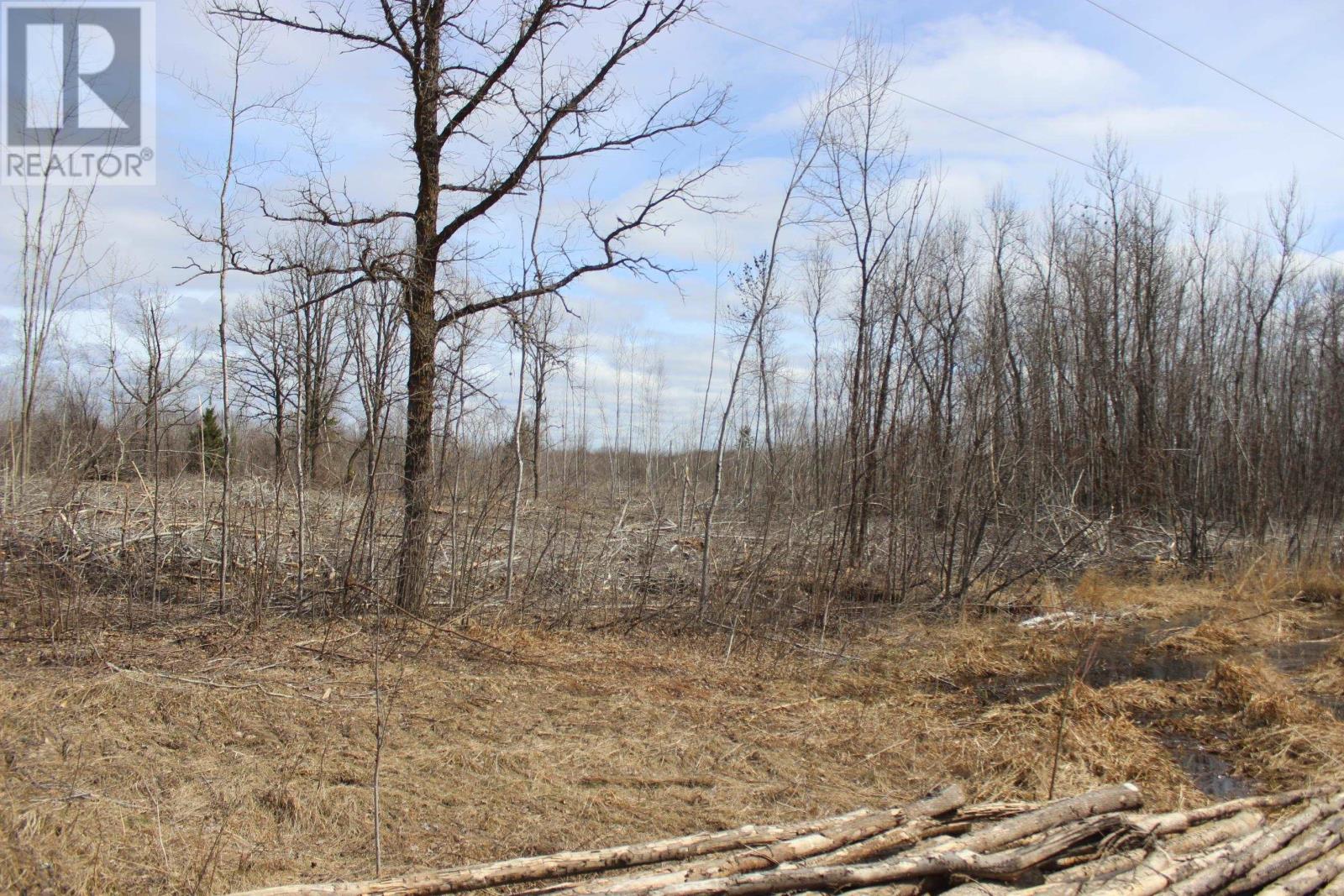 360 River Rd, Rainy River, Ontario  P0W 1L0 - Photo 19 - TB2600878
