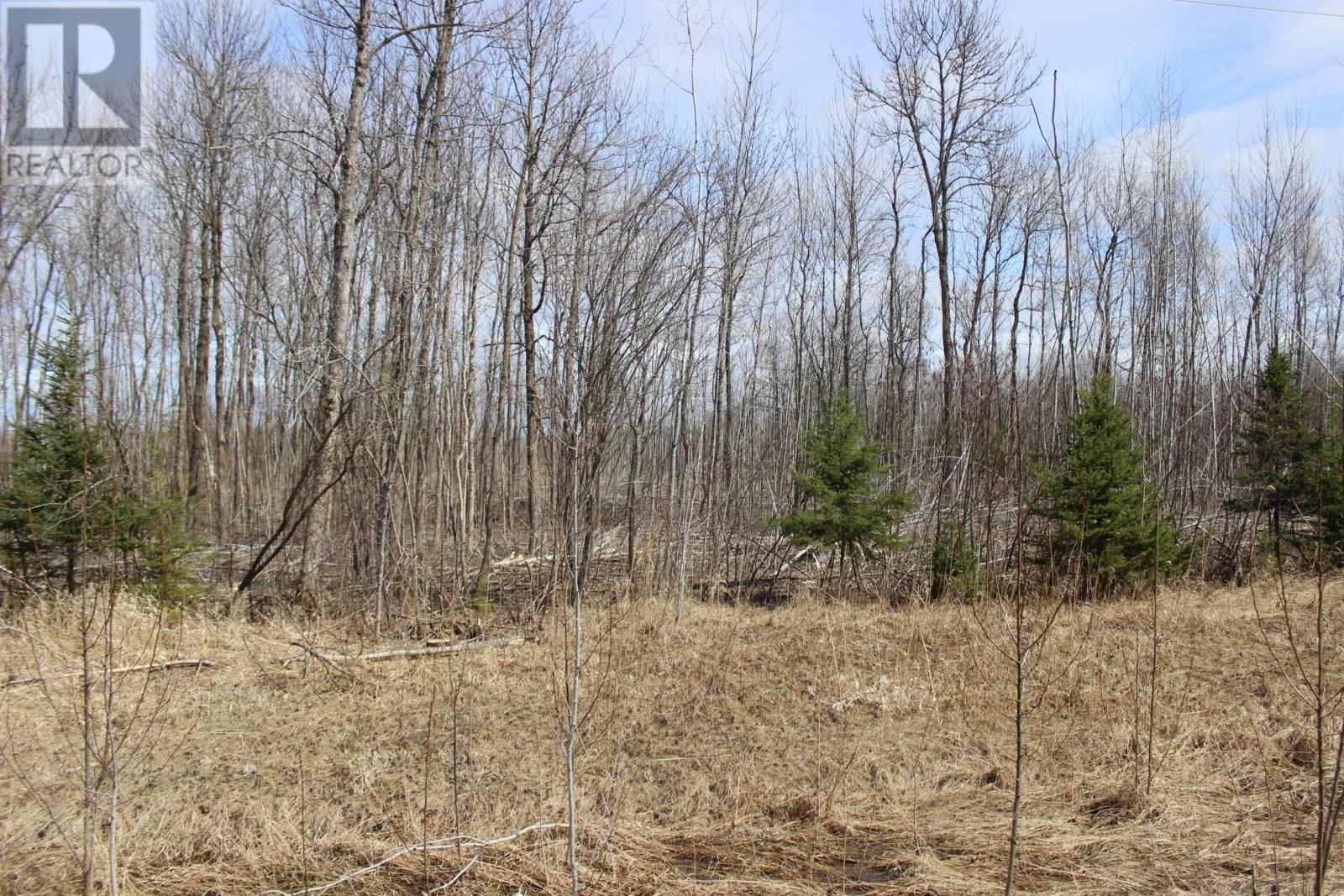 360 River Rd, Rainy River, Ontario  P0W 1L0 - Photo 20 - TB2600878