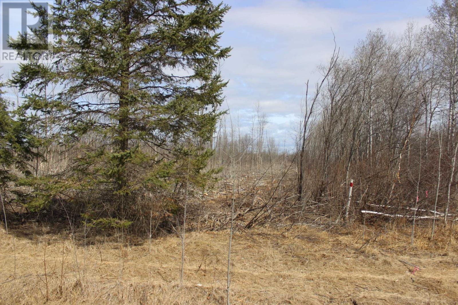 360 River Rd, Rainy River, Ontario  P0W 1L0 - Photo 25 - TB2600878