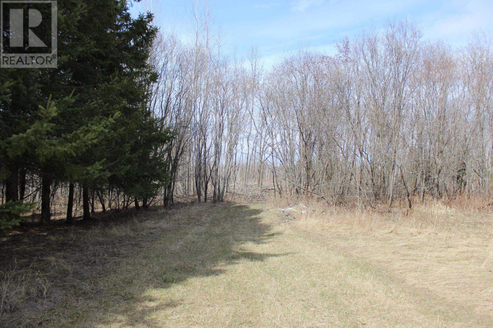 360 River Rd, Rainy River, Ontario  P0W 1L0 - Photo 9 - TB2600878