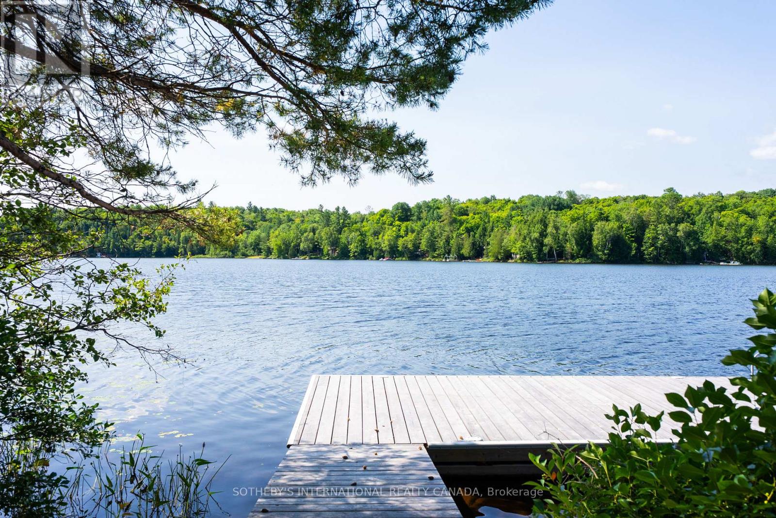 1023 Mccabe Road, Lake Of Bays, Ontario  P0B 1A0 - Photo 5 - X13069554