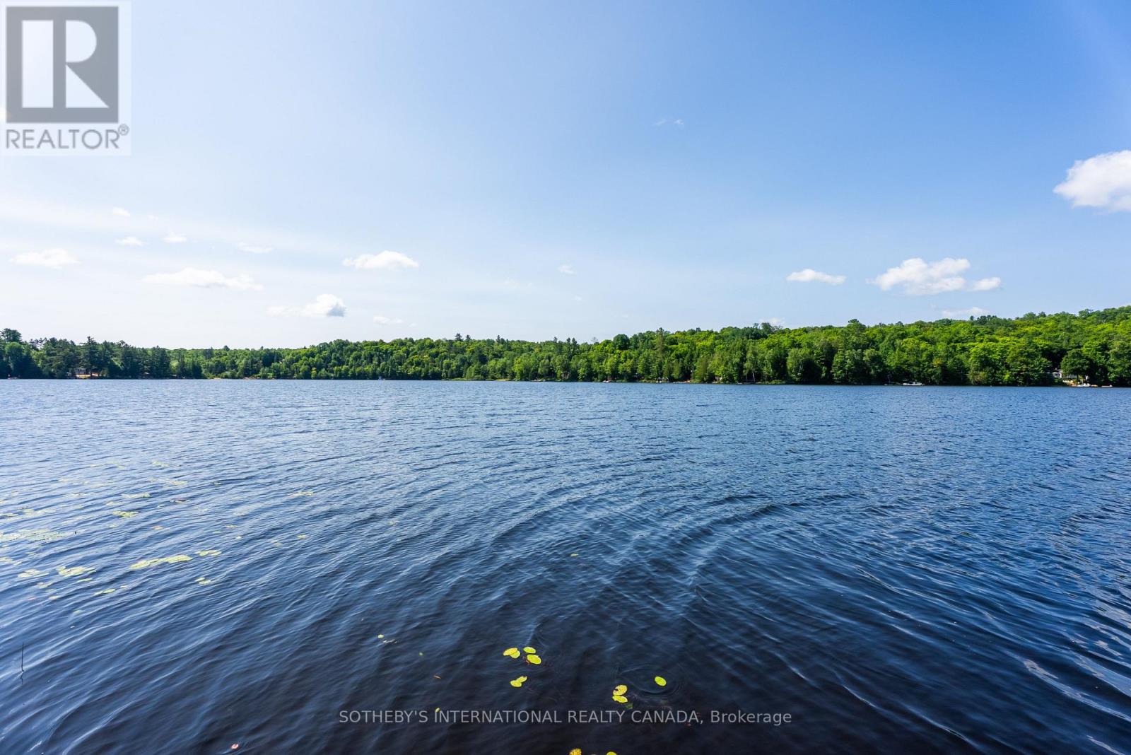 1023 Mccabe Road, Lake Of Bays, Ontario  P0B 1A0 - Photo 8 - X13069554