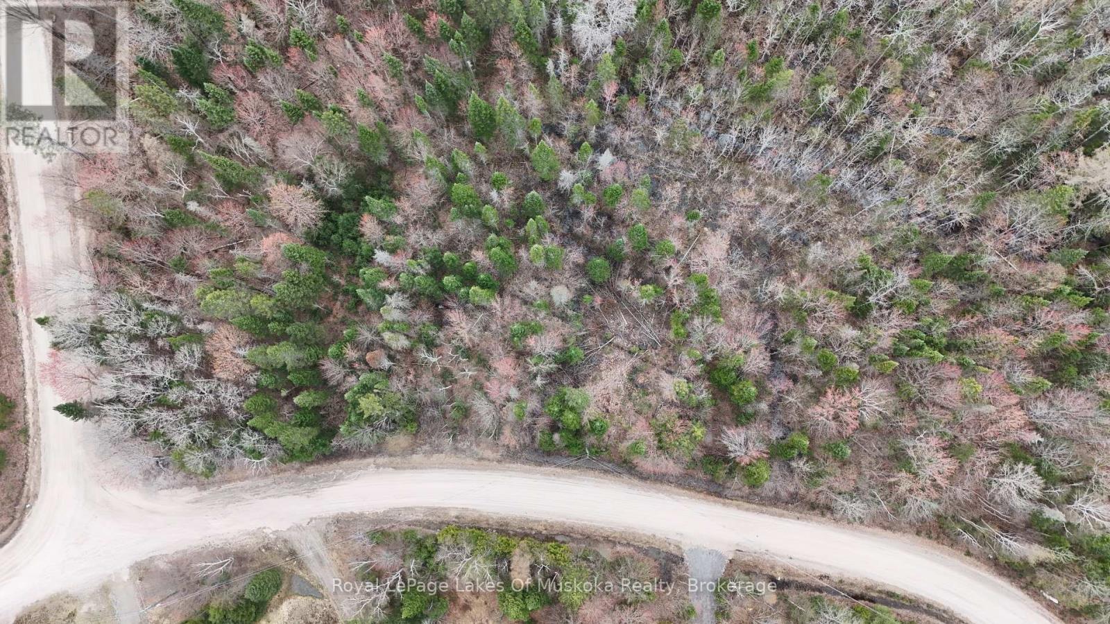 0 Buckvale Drive, Mcmurrich/monteith, Ontario  P0A 1Y0 - Photo 3 - X13069812