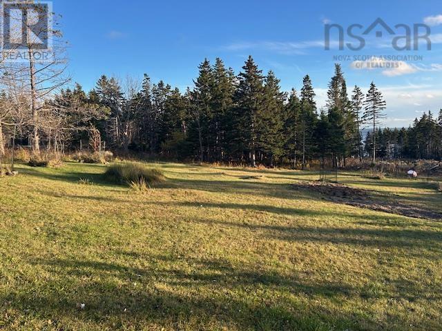 9690 Grenville Street, St. Peter's, Nova Scotia  B0E 3B0 - Photo 7 - 202609367