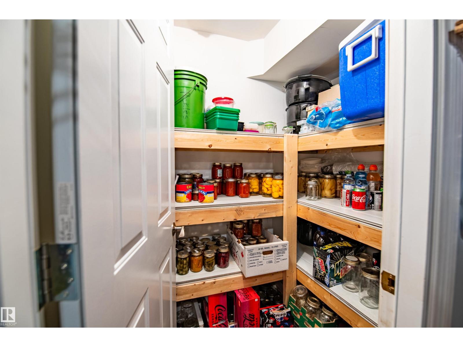 8 Macrae St, Erskine, Alberta  T0C 1G0 - Photo 4 - E4485193