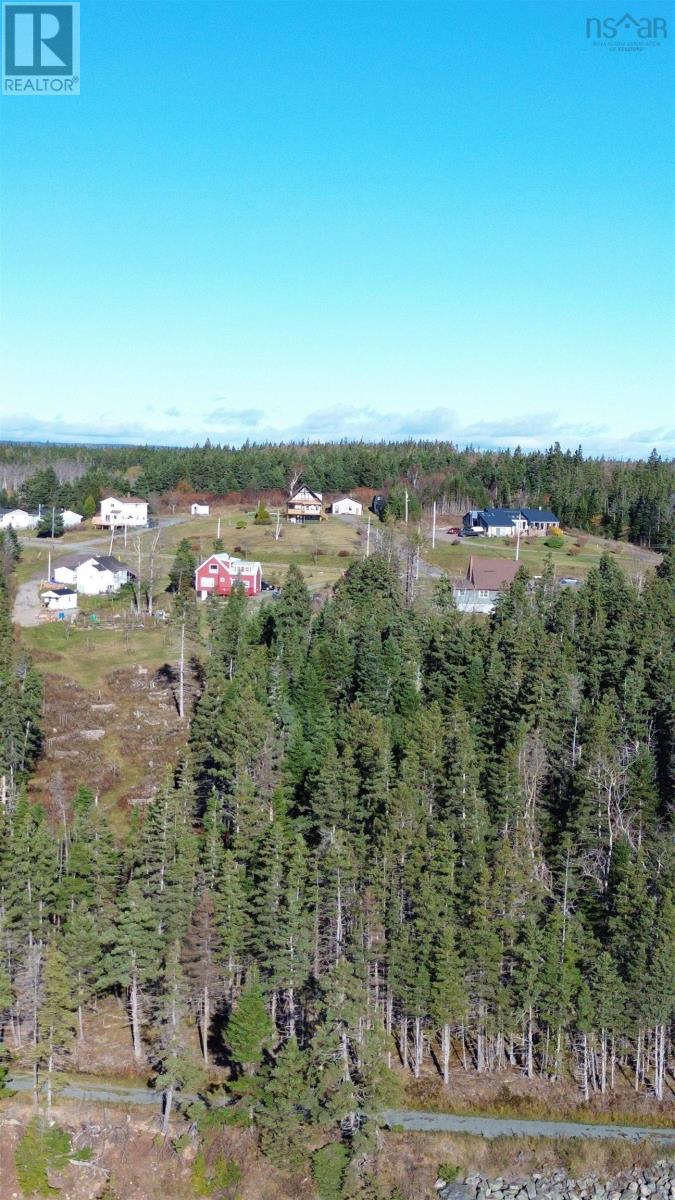 9690 Grenville Street, St. Peter's, Nova Scotia  B0E 3B0 - Photo 47 - 202609367