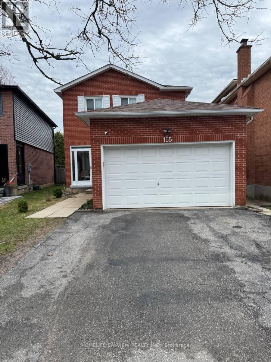 Basement - 155 Kersey Crescent, Richmond Hill, Ontario  L4C 8X9 - Photo 1 - N13069854
