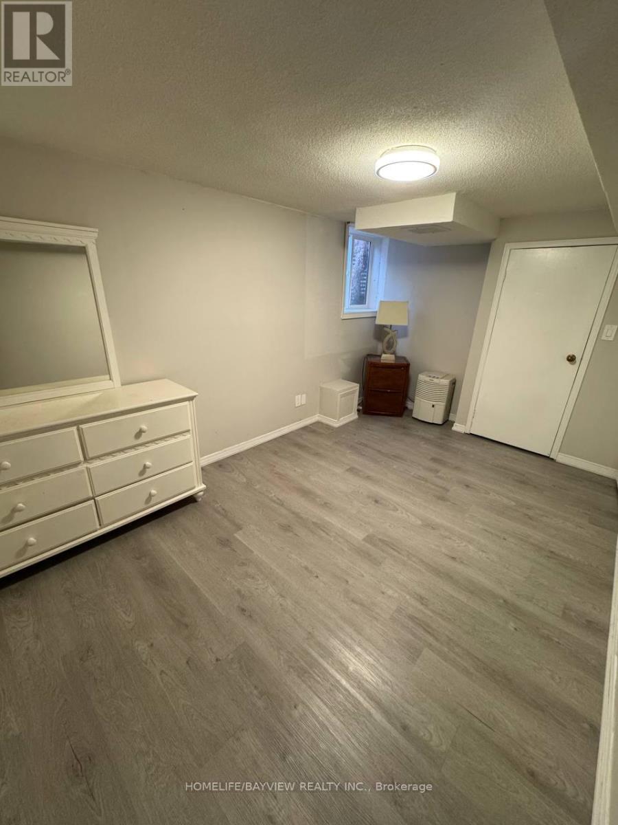 Basement - 155 Kersey Crescent, Richmond Hill, Ontario  L4C 8X9 - Photo 8 - N13069854