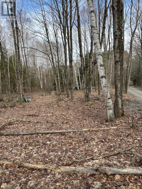 0 Providence Drive, Algonquin Highlands, Ontario  K0M 1S0 - Photo 9 - X12929084