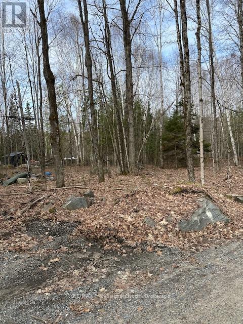0 Providence Drive, Algonquin Highlands, Ontario  K0M 1S0 - Photo 5 - X12929084