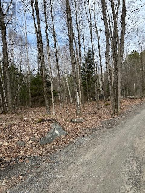 0 Providence Drive, Algonquin Highlands, Ontario  K0M 1S0 - Photo 6 - X12929084